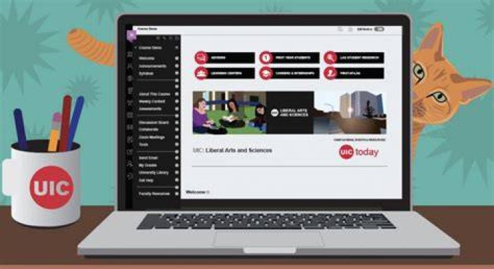 UIC Blackboard: Helpful Guide To Access UIC Portal 3 Uic Blackboard