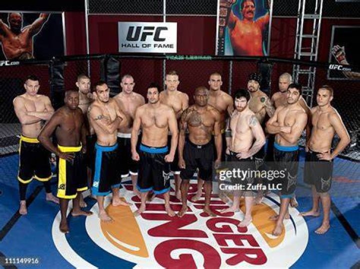ultimate fighter season 13