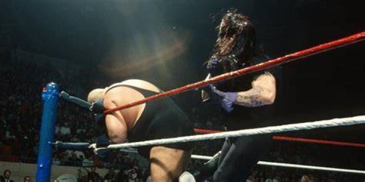 Undertaker v Bundy