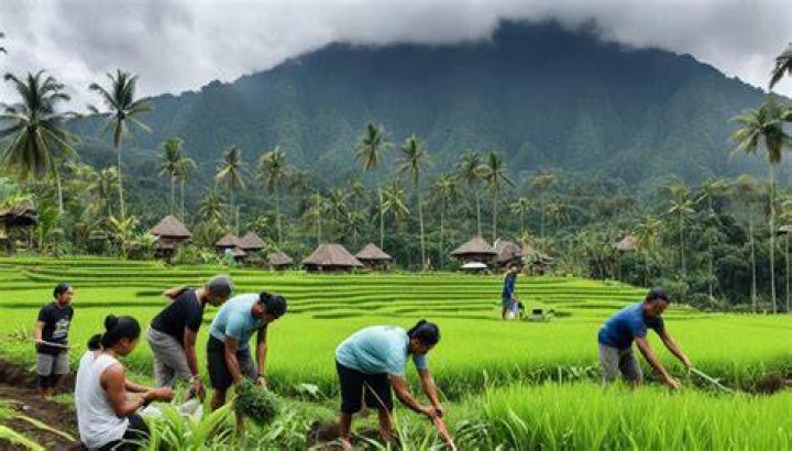 volunteer bali