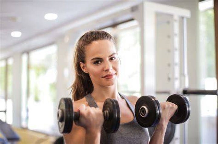 leg exercises, leg workouts weights, exercise equipment, arm, shoulder, chest, bench, leg, abdomen, gym, muscle,