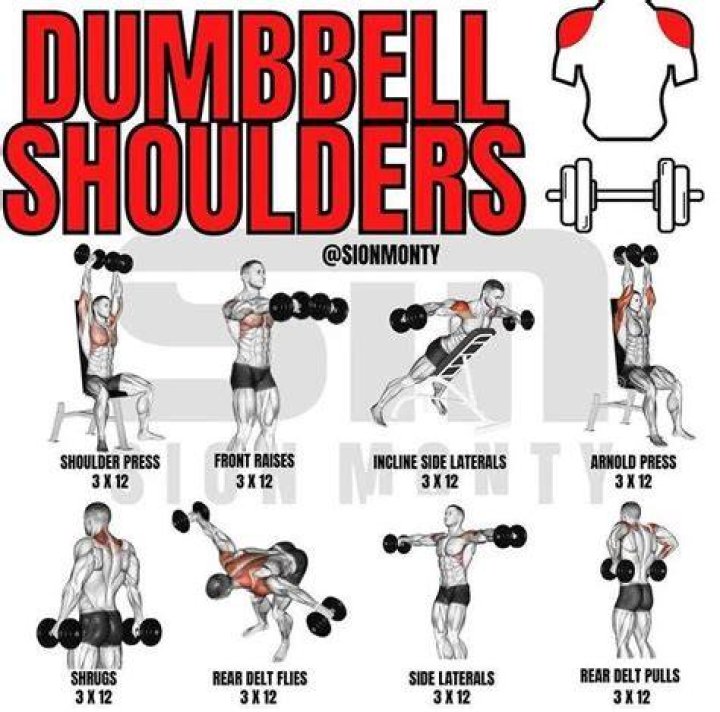 Weights, Exercise equipment, Shoulder, Dumbbell, Kettlebell, Standing, Fitness professional, Arm, Physical fitness, Joint, Weights, Exercise equipment, Shoulder, Dumbbell, Kettlebell, Standing, Fitness professional, Arm, Physical fitness, Joint,