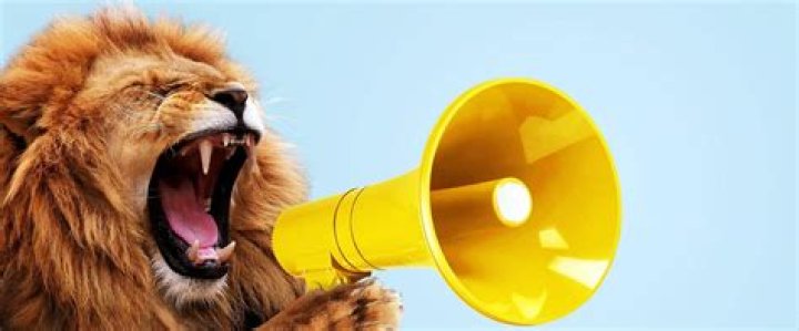 What is the loudest US stadium?