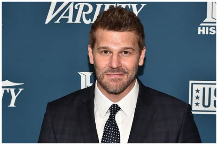 Who Is David Boreanaz's Wife Jamie Bergman, And What Does She Do?