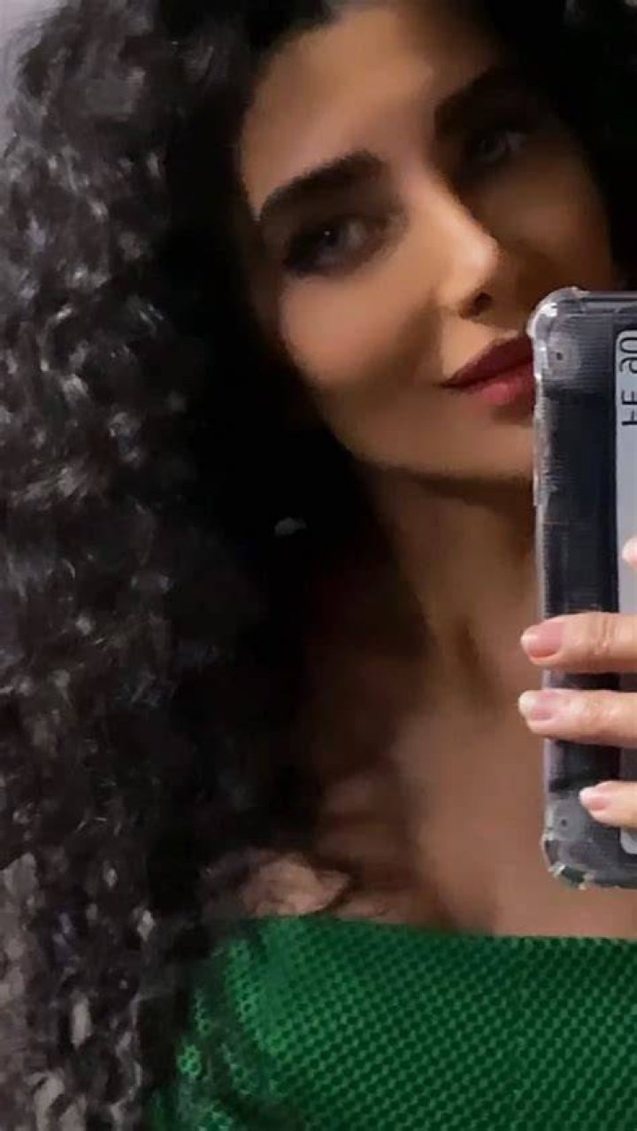 Who Is Setareh Saeidi?