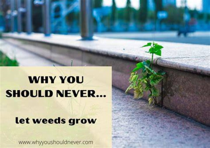Why You Should Never Let It Slide