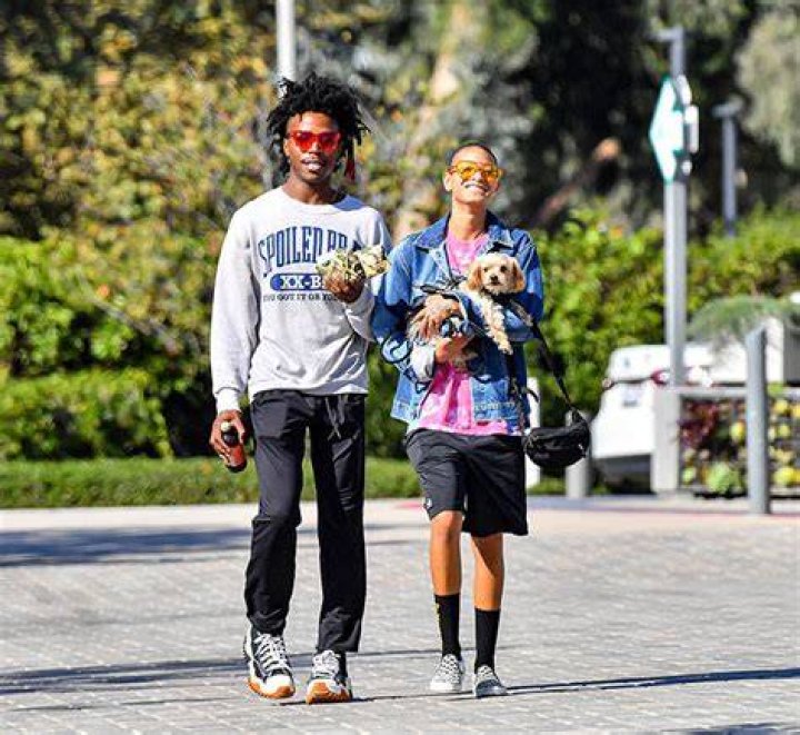 Willow Smith and her boyfriend Tyler Cole out in Los Angeles GotCeleb