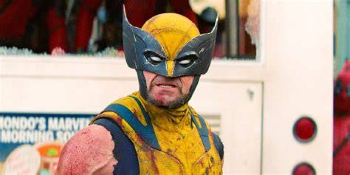 wolverine wolverine